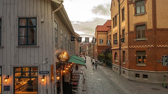 En bild